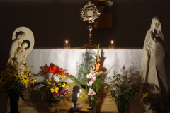 DSC09011